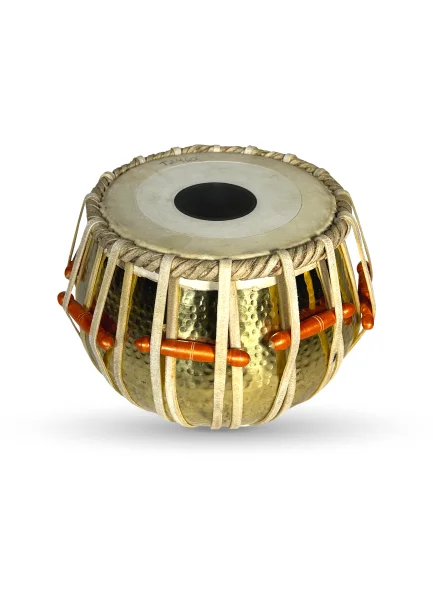 Individual Professional Bayan
