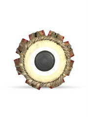 Individual Standard Dayan